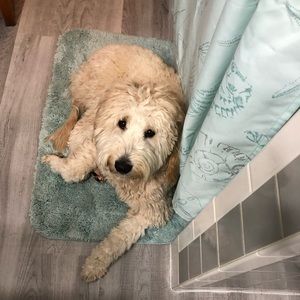 Meet your Posher, Jillian